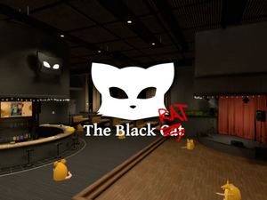 AF2025 TheBlackCat.webp