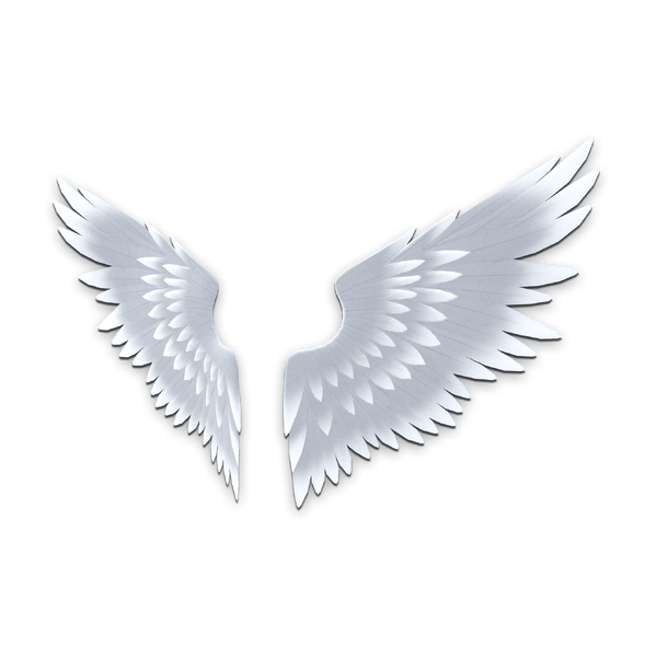 File:Accessory Angel Wings.png