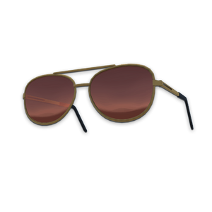 Accessory Aviator Sunglasses.png
