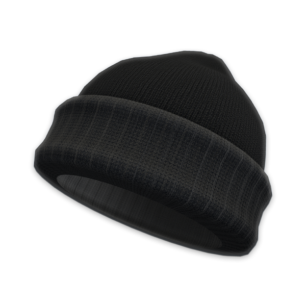 File:Accessory Beanie.png