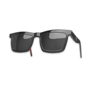 Accessory Classic Shades.png