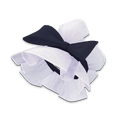 Thumbnail for version as of 21:25, 22 May 2026