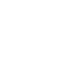 Icon Circle X Mark.svg