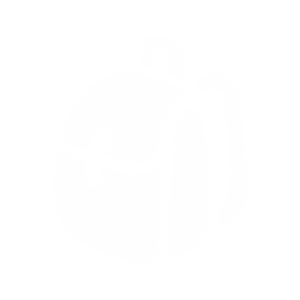 Items Icon.png