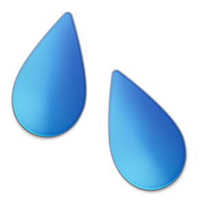 Summer Splash.webp