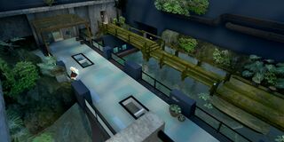 A river environment recreated in the Freshwater Section.