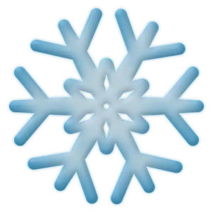 Winter Snowflake.webp