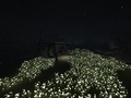 Thumbnail for version as of 04:09, 3 April 2026